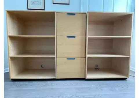 Desk, shelves and file cabinet